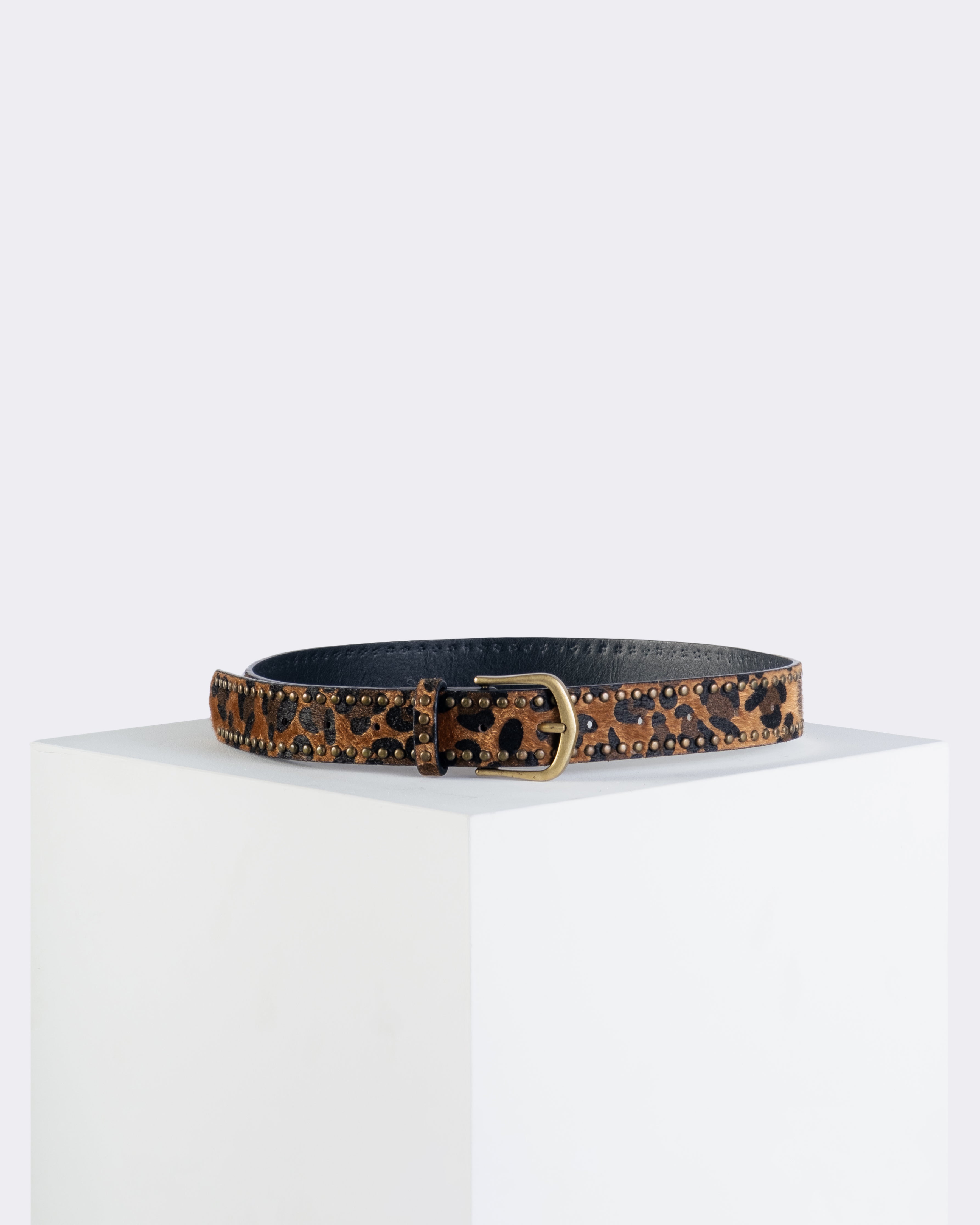 Artemis Studded Trim Belt