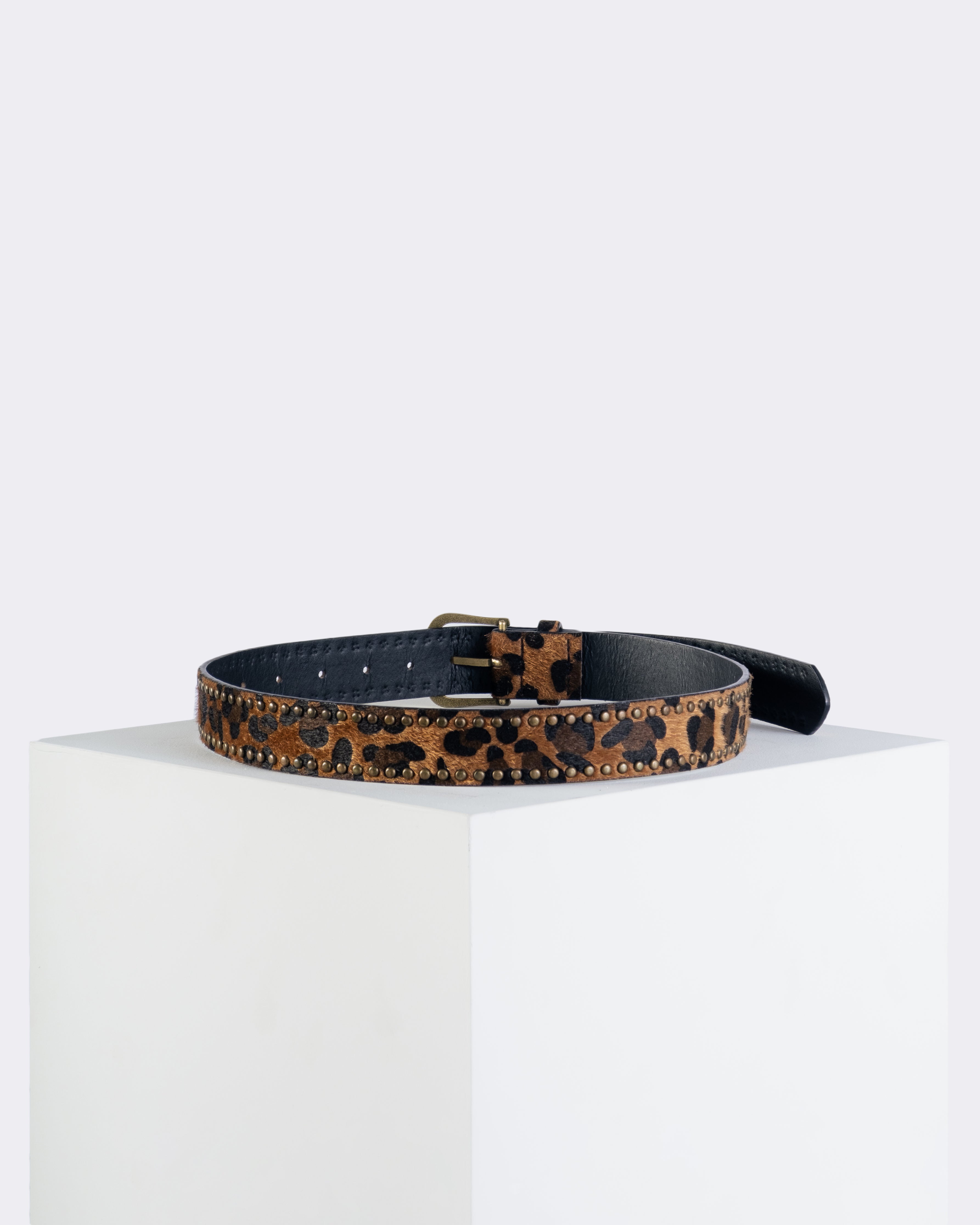 Artemis Studded Trim Belt